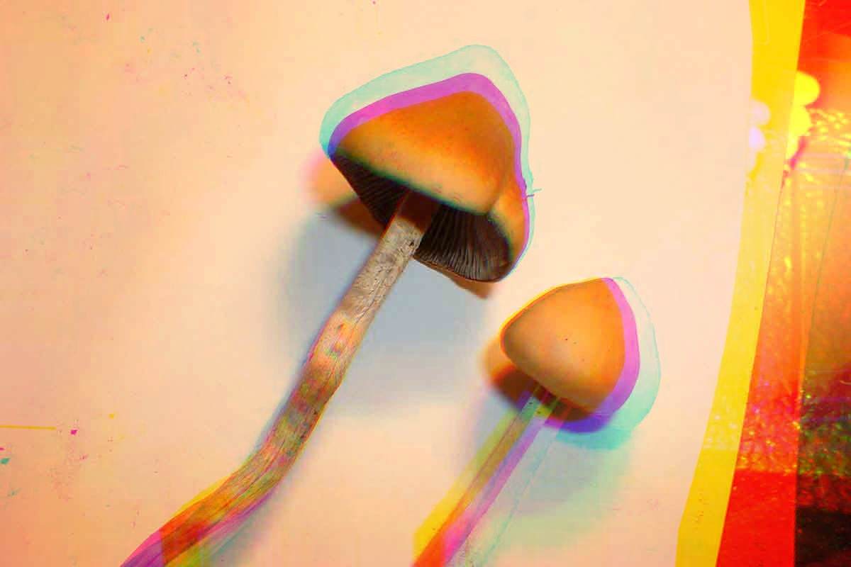 titulka-psilocybin_halucinogenny hrib