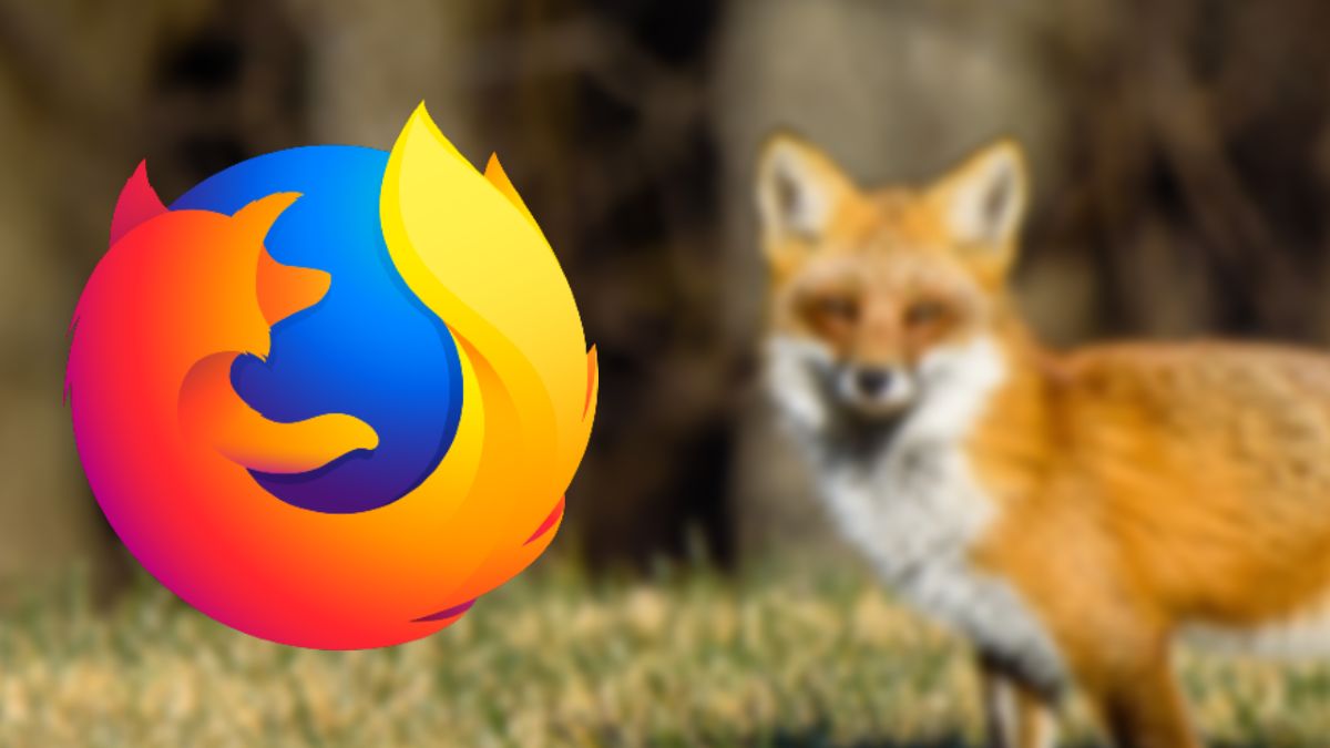 Firefox