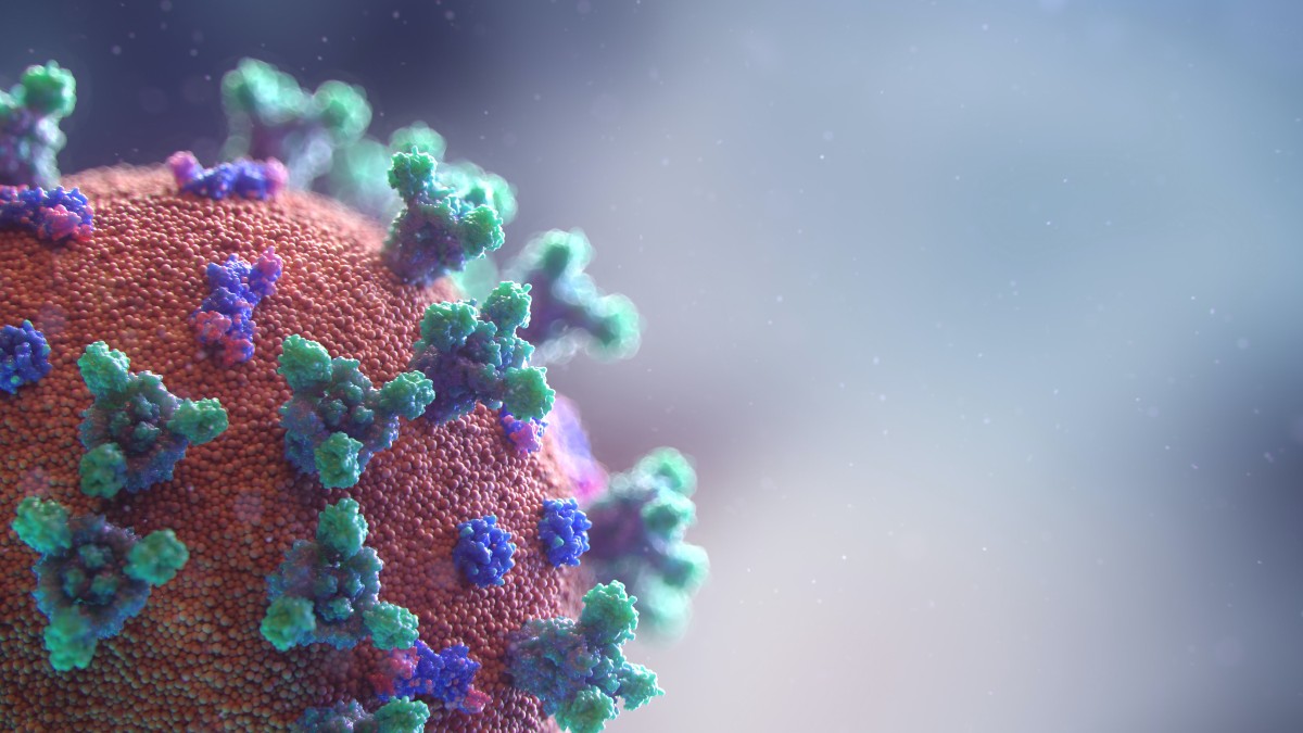 Virus COVID 19