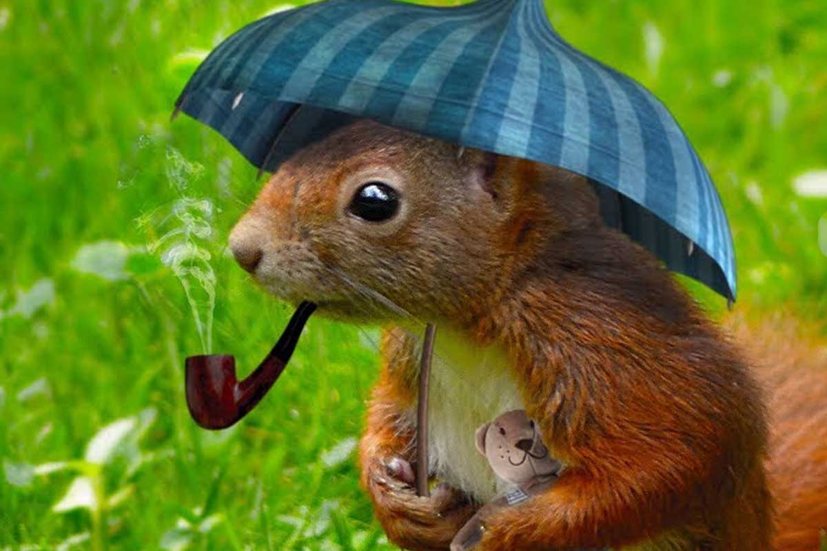 osobnosť