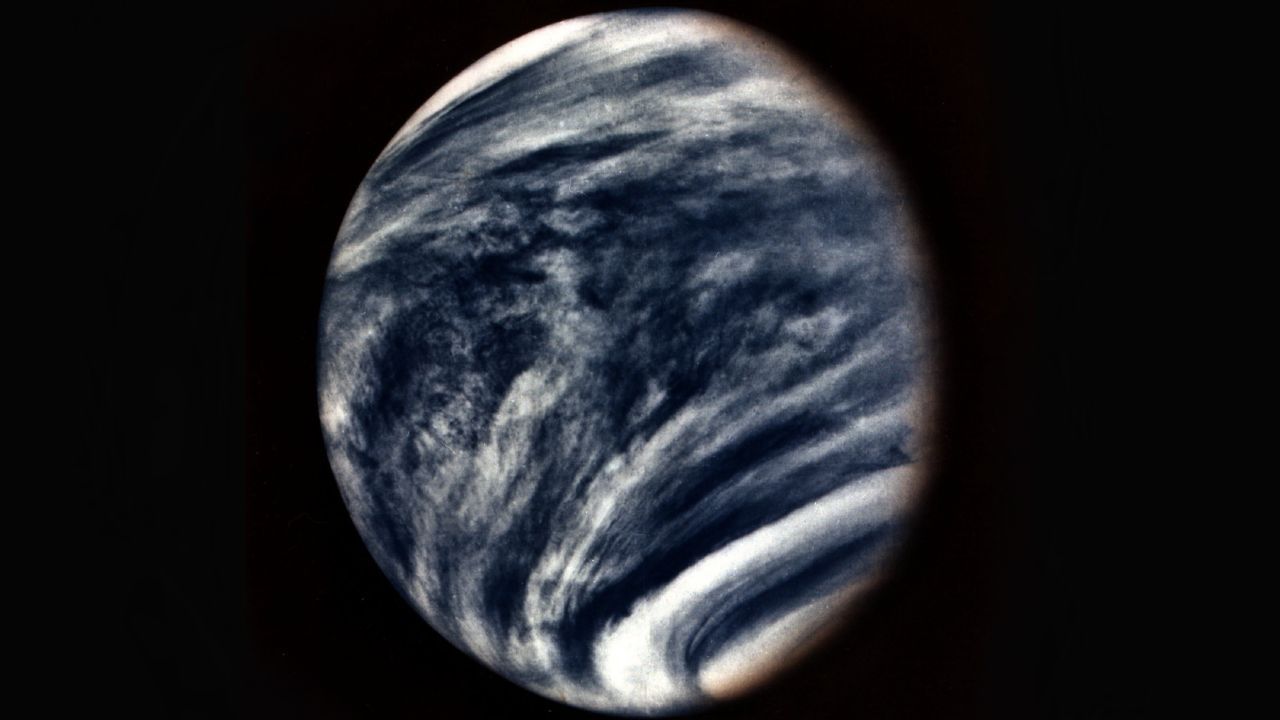 Venuša