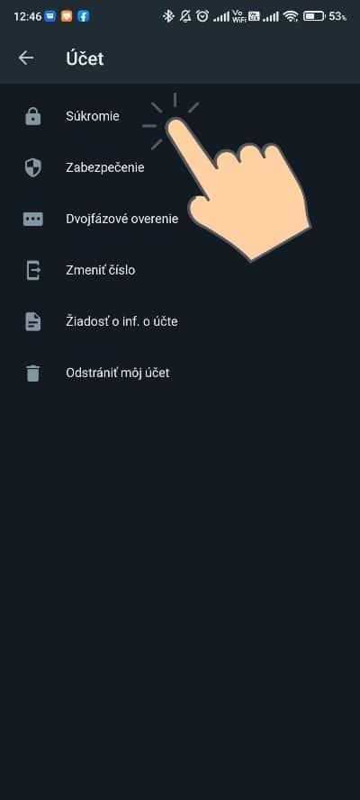 WhatsApp ako nastavit aby nikto nevidel status ci som online_3