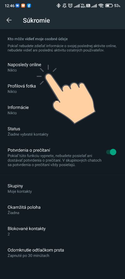 WhatsApp ako nastavit aby nikto nevidel status ci som online_4