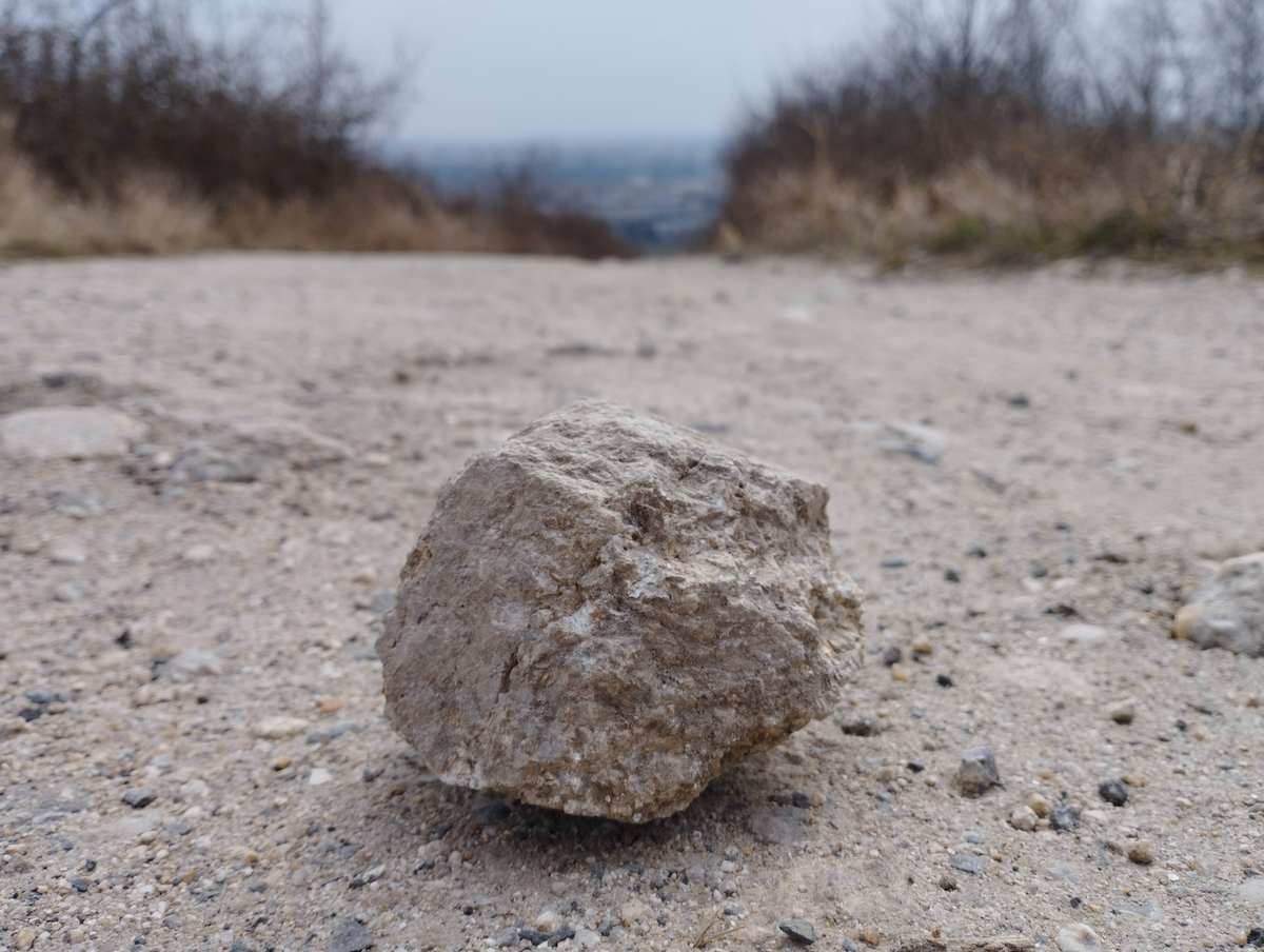 Redmi Note 11_bokeh efekt_3