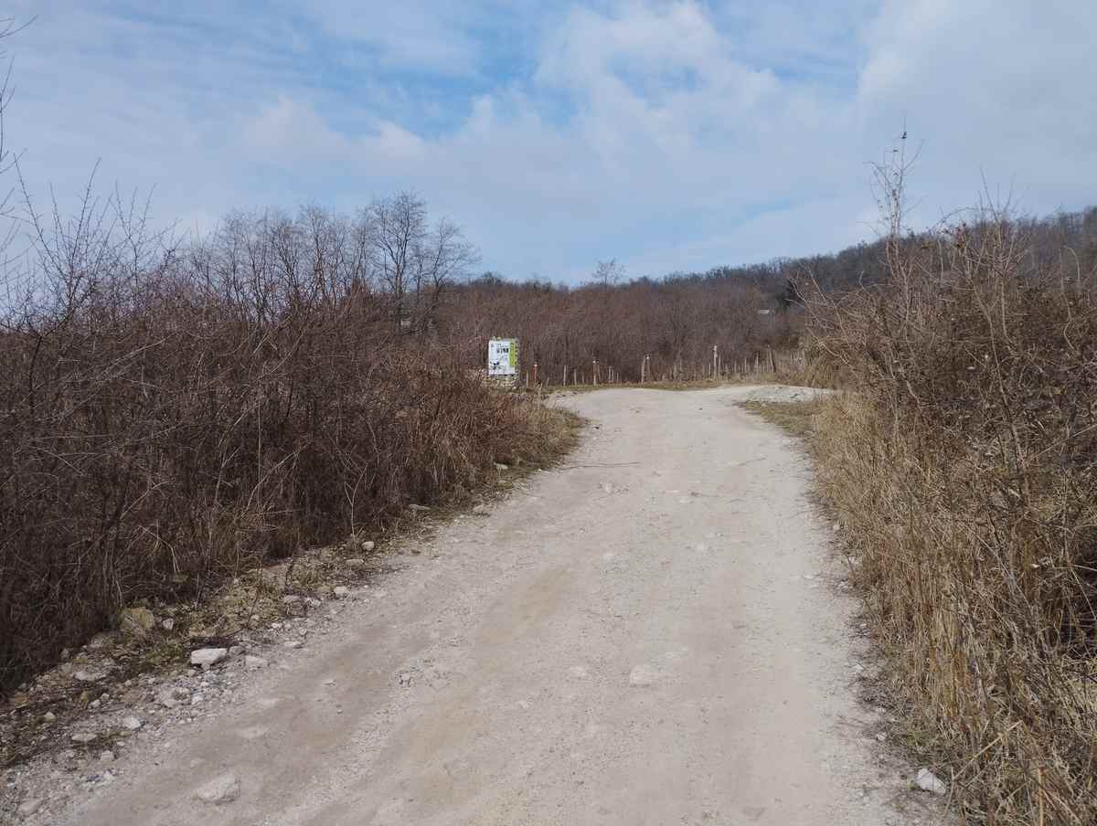 Vzorka fotky_redmi note 11_bez priblizenia