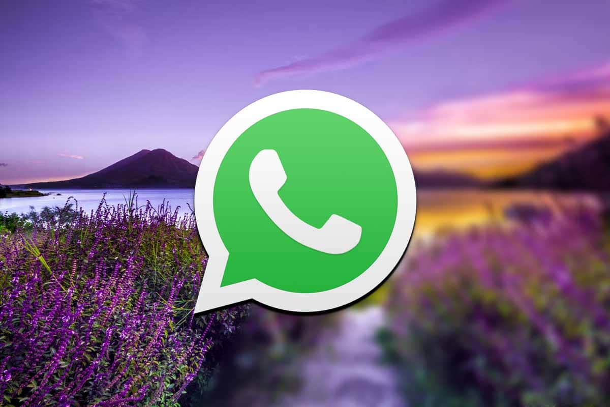 WhatsApp prinesie na Android funkciu rozmazania fotografie