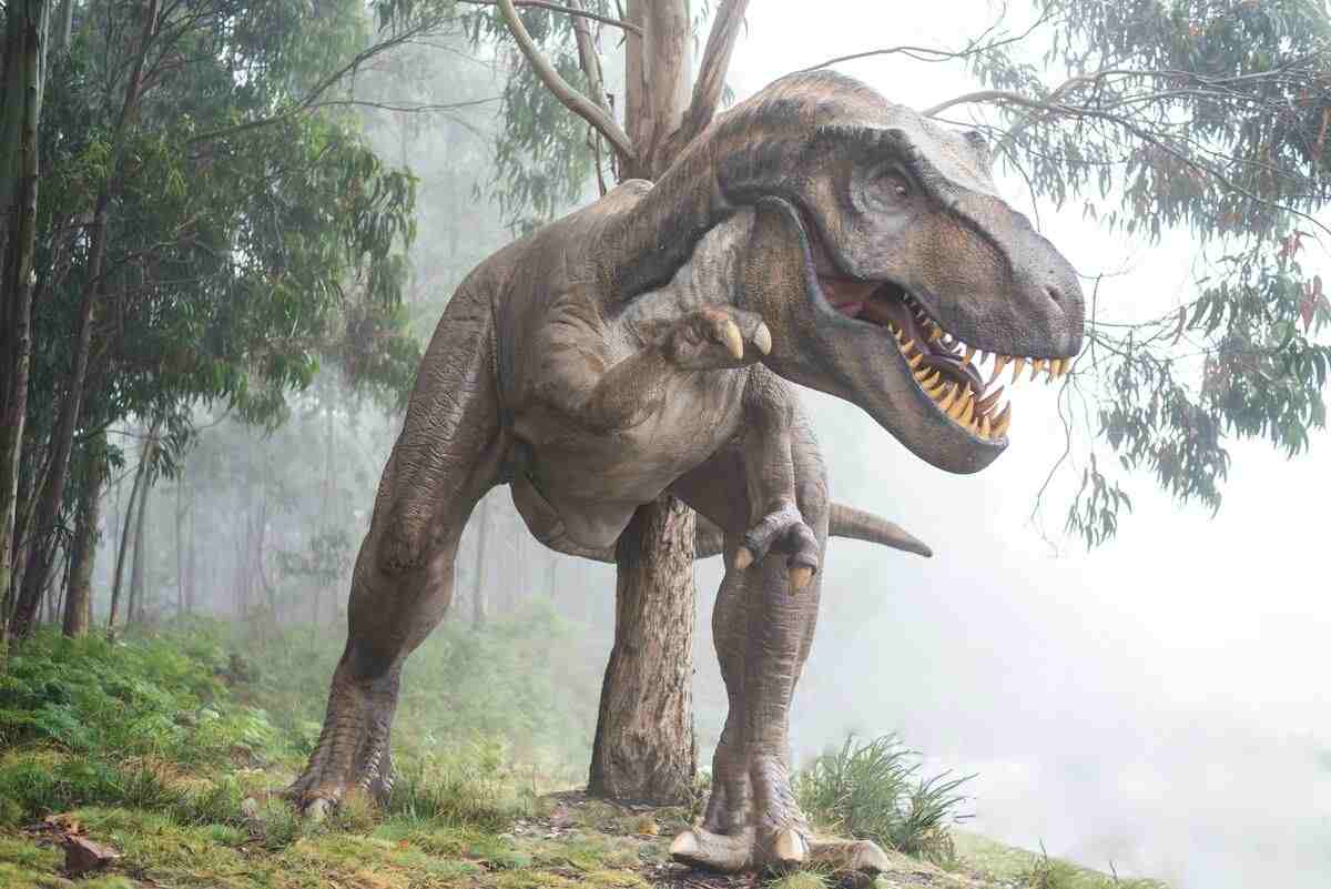 Tyrannosaurus rex