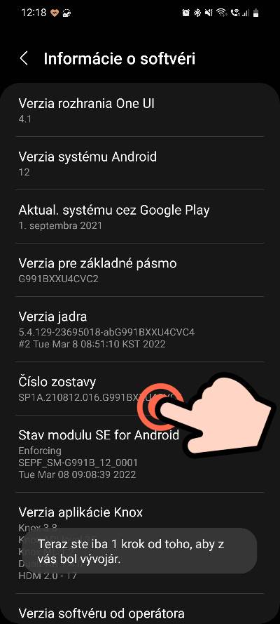 Vyvojarske nastavenia Samsung_2