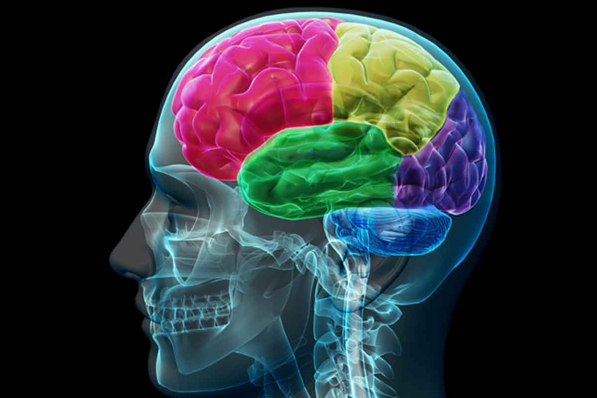 Našli vedci z inštitútu RIKEN liek proti Alzheimerovej chorobe?
