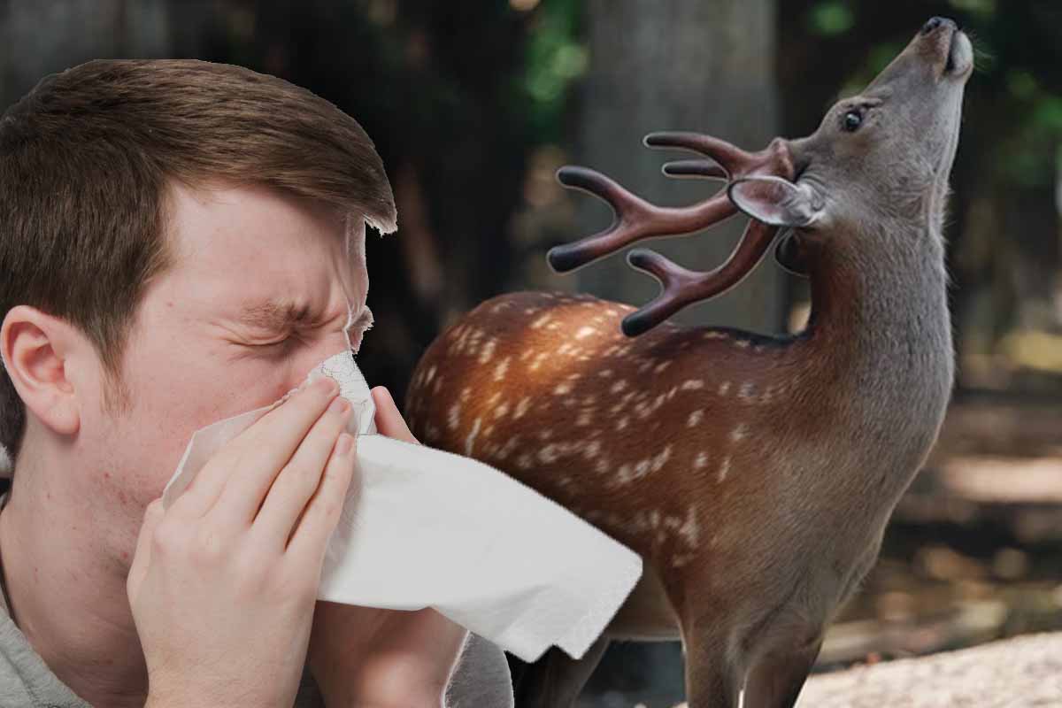 Ľudia nakazili zvieratá vírusmi častejšie, než sa predpokladalo