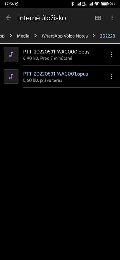 whatsapp voice notes