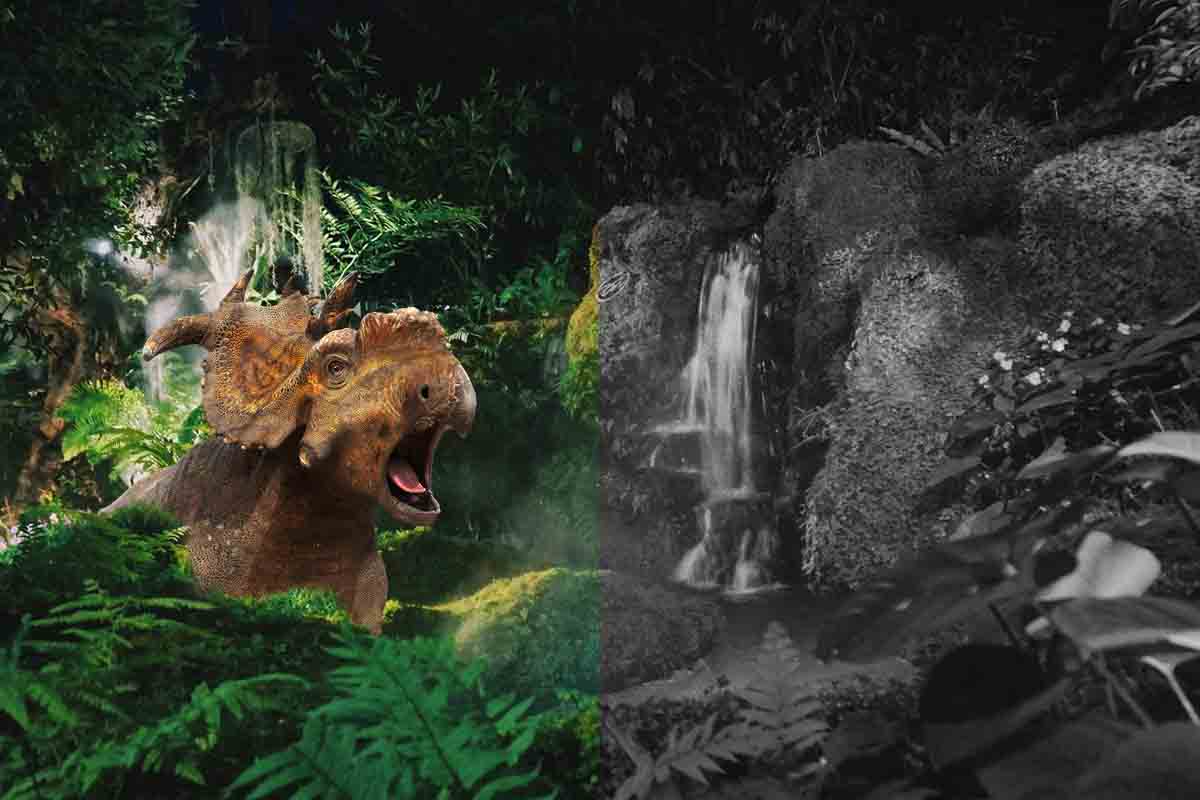 Asteroid, ktorý vyhubil dinosaurov, viedol k vytvoreniu moderných dažďových pralesov.