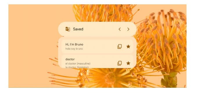 widget prekladač