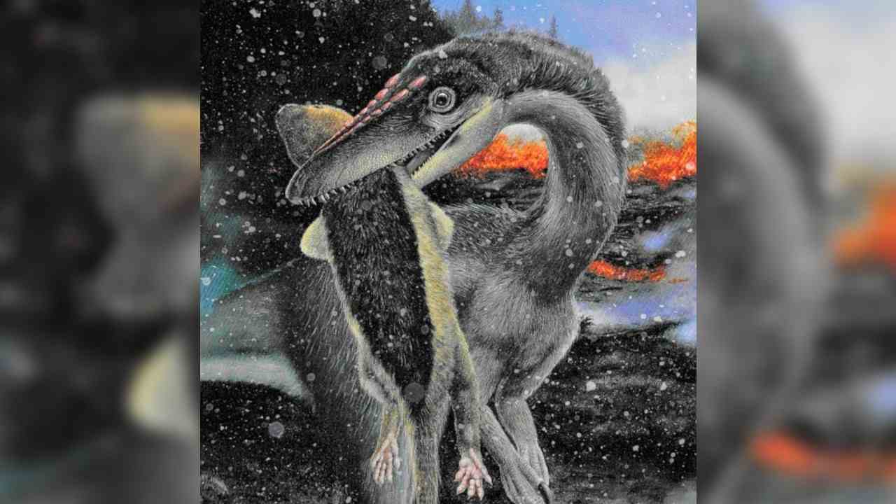 Dinosaury a ich vyvoj