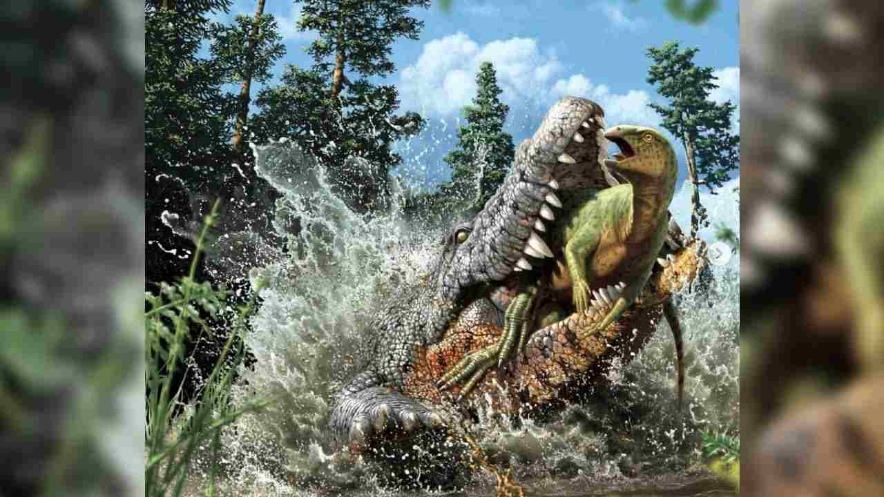 krokodil objaveny s pozostatkami dinosaura
