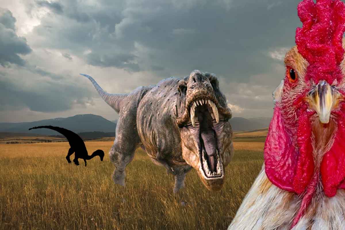 Odkiaľ prišli dinosaury?