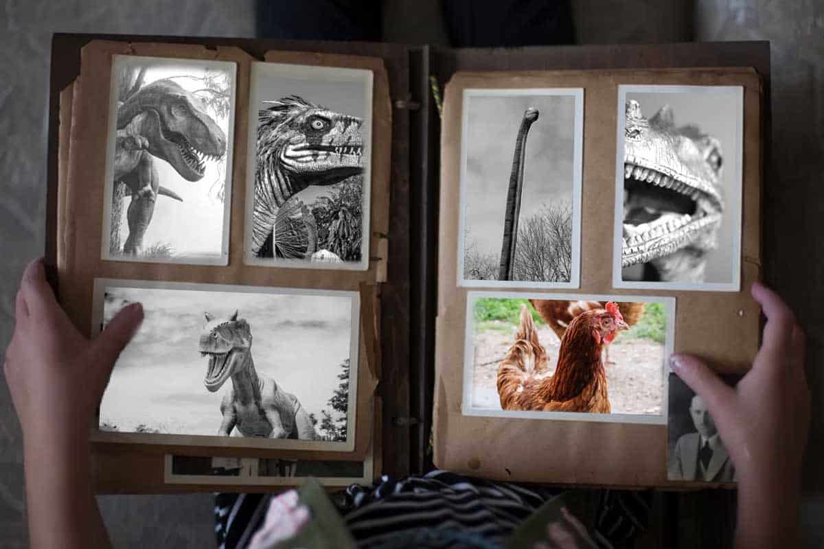 Ktoré žijúce druhy môžeme považovať za potomkov dinosaurov?