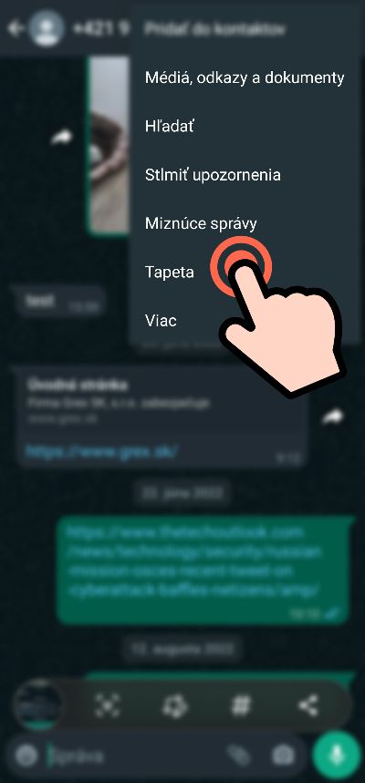 WhatsApp miznuce spravy existujuce cety_1