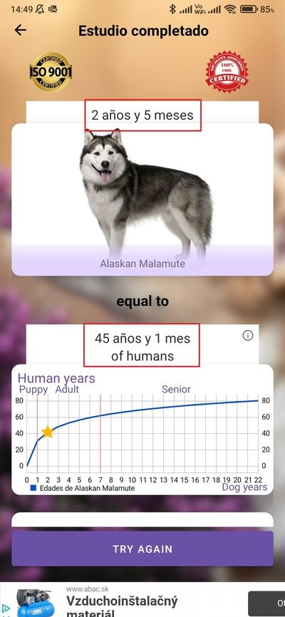 psí život 3