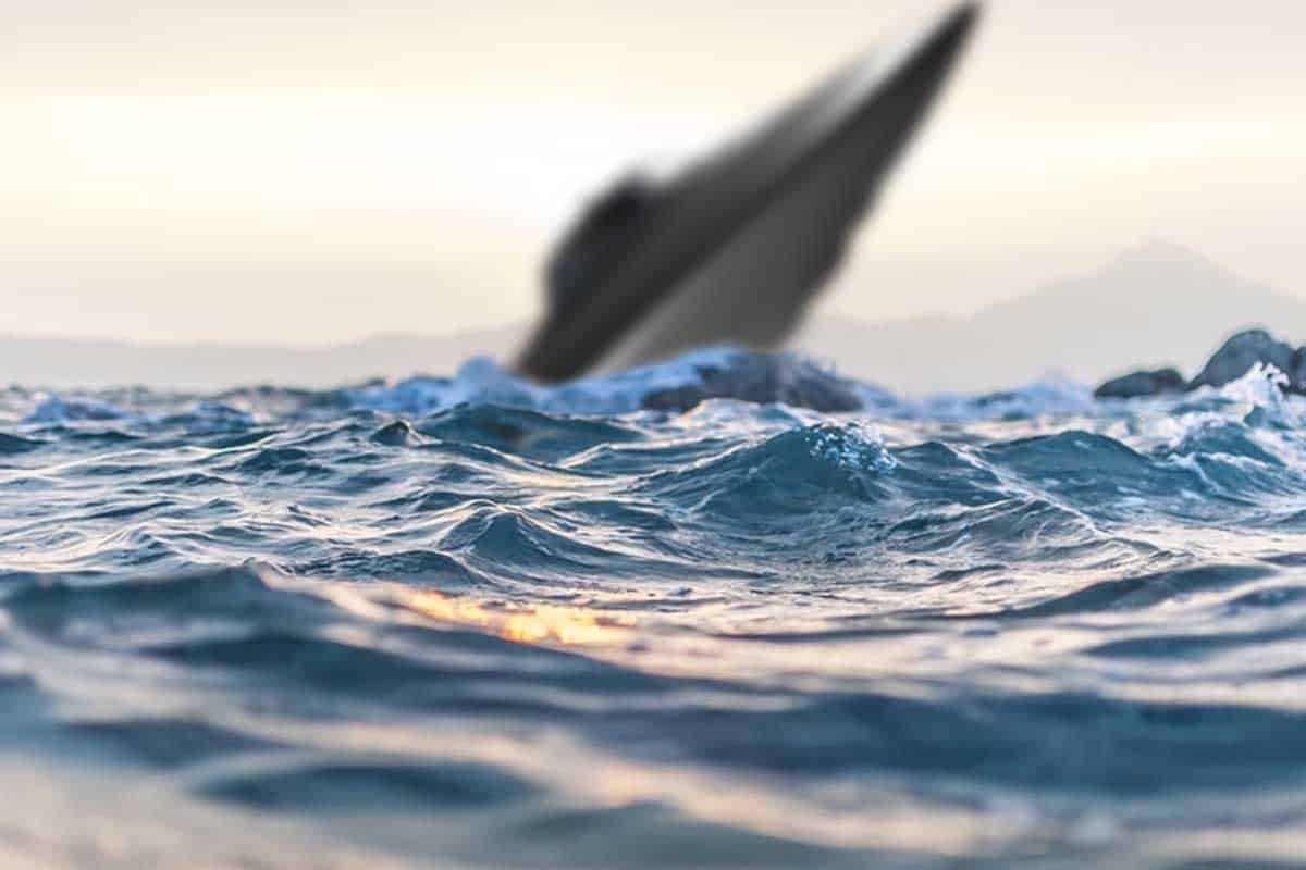 Padla v roku 2014 do tichého oceánu mimozemská technológia?