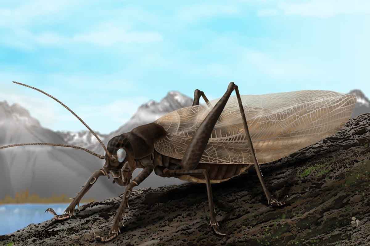 Vedcom sa podarilo rekonštruovať volanie dávno strateného druhu.