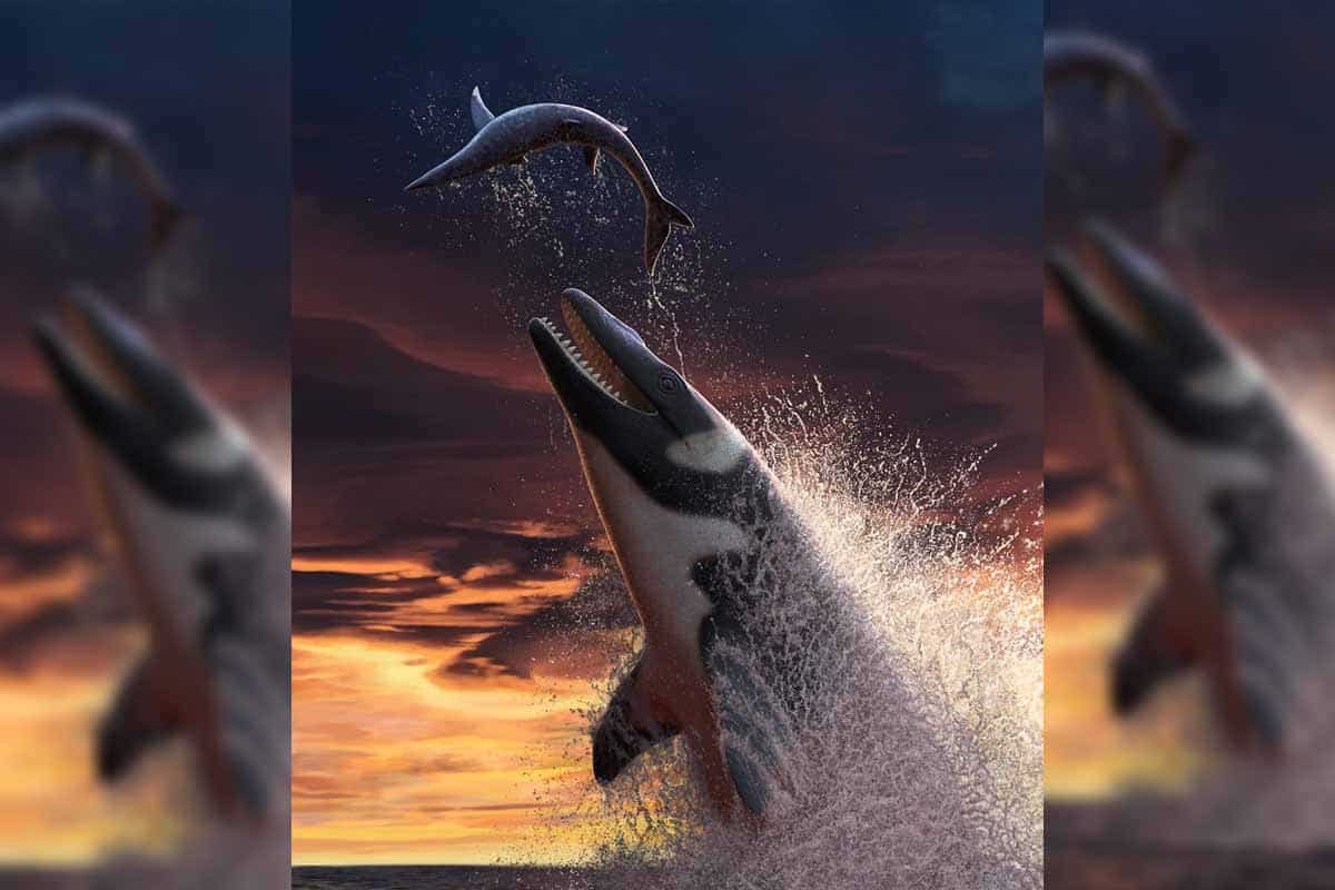 Thalassotitan lovil všetko, čo sa mu postavilo do cesty