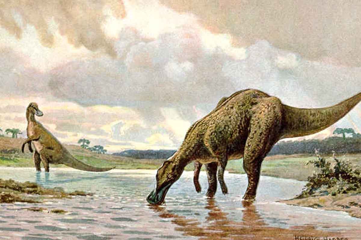 Vedci objavili mimoriadne zachovalú fosíliu hadrosaura