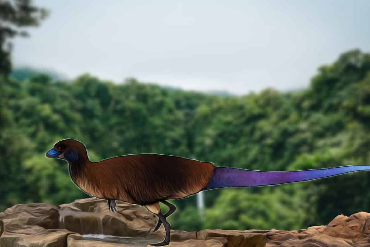 Lesothosaurus bol jedným z prvých dinosaurov, ktorý vykazoval sociálne správanie