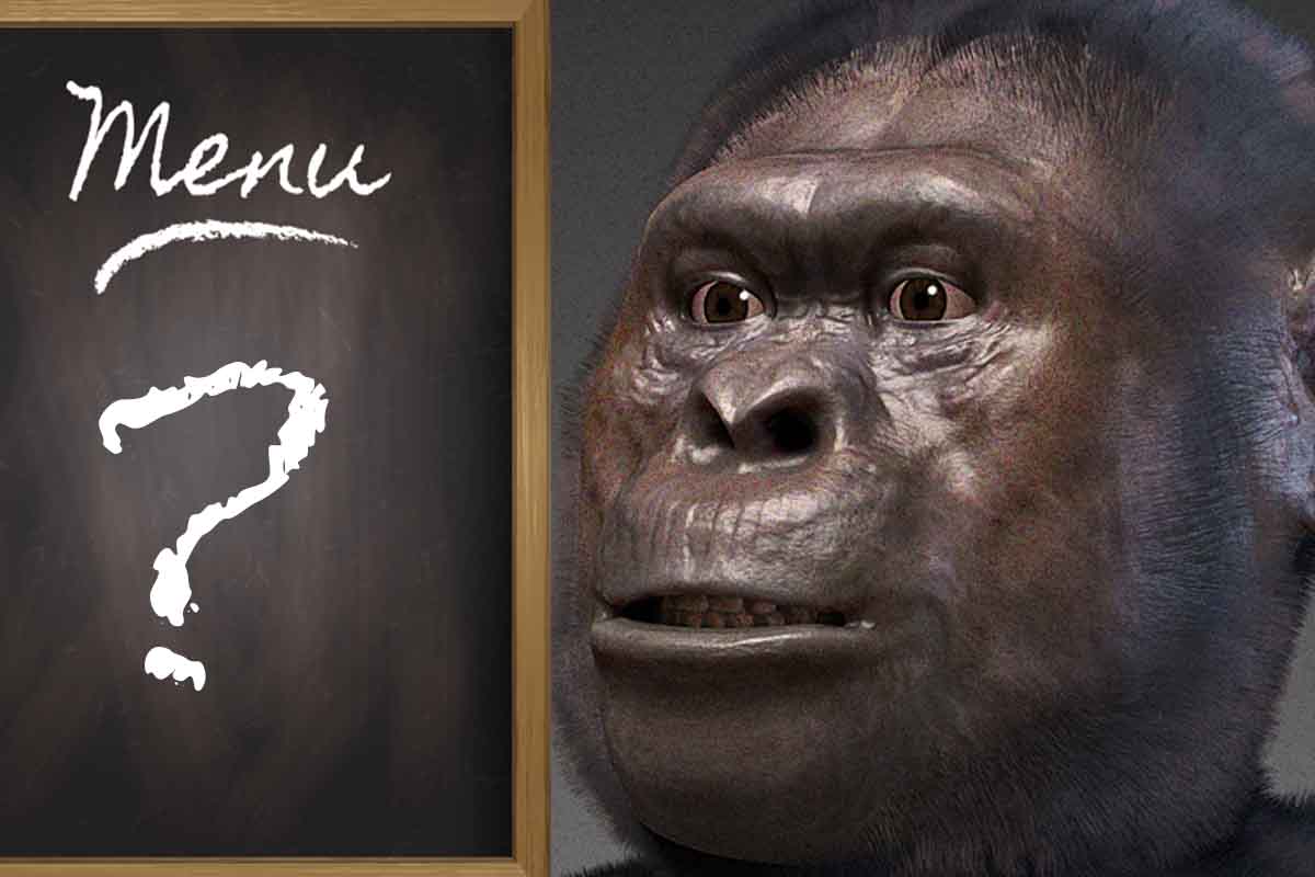 Akú potravu konzumovali naši predkovia?