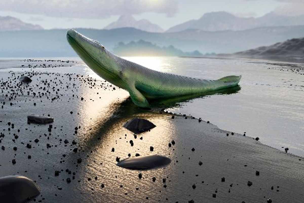 Tetrapódy mali jednu evolučnú nevýhodu