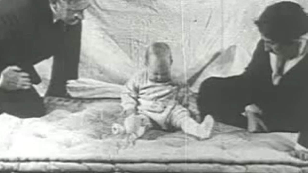 Little Albert experiment