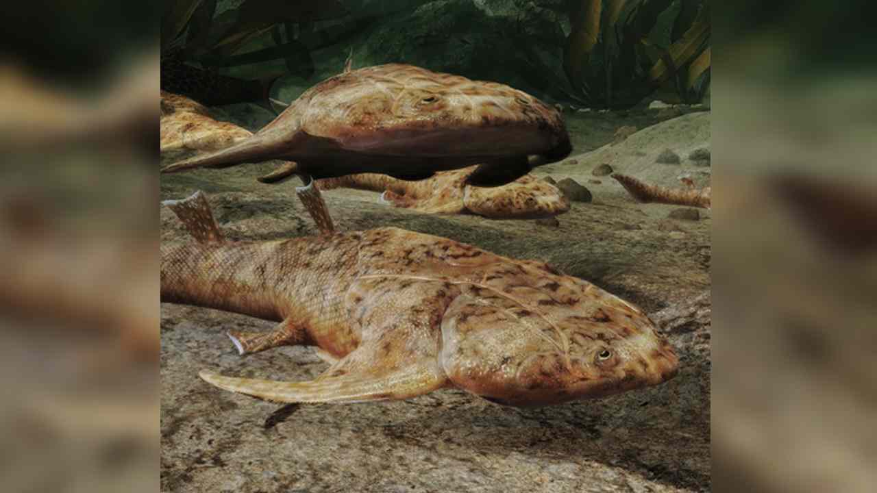evolucia stavovcov