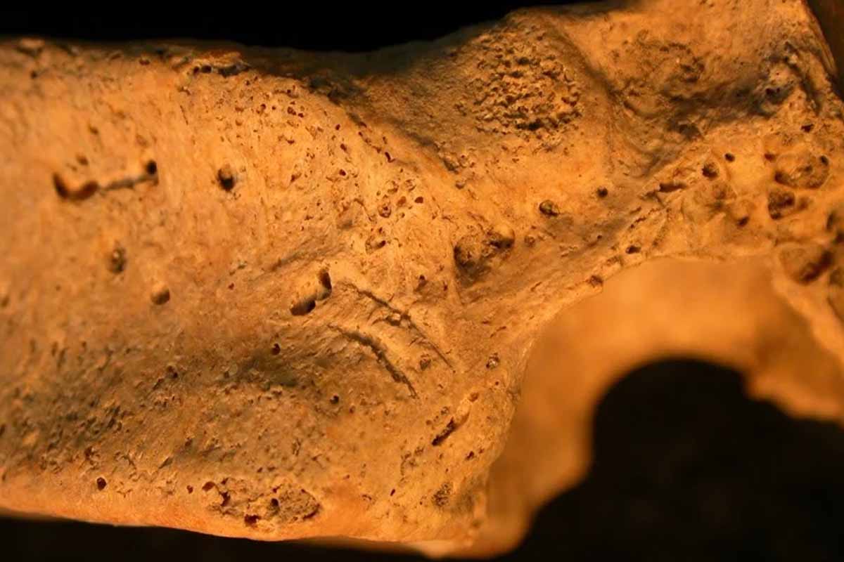 Telo stredovekého človeka zmrzačili aby nevstal z mŕtvych