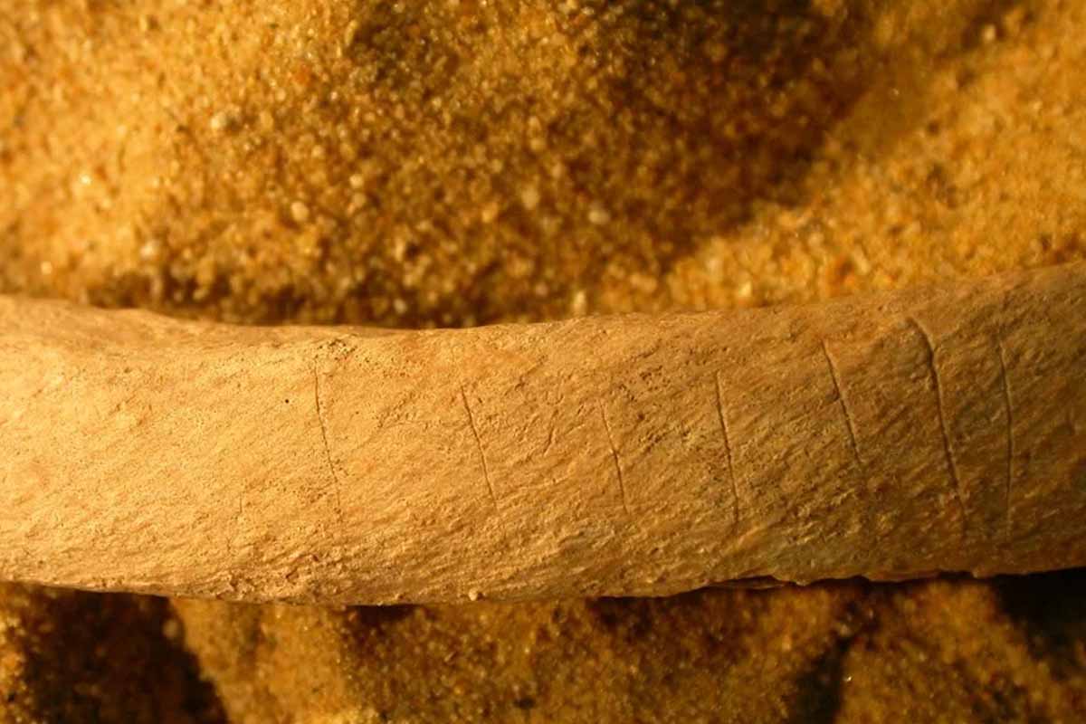 Telo stredovekého človeka zmrzačili aby nevstal z mŕtvych