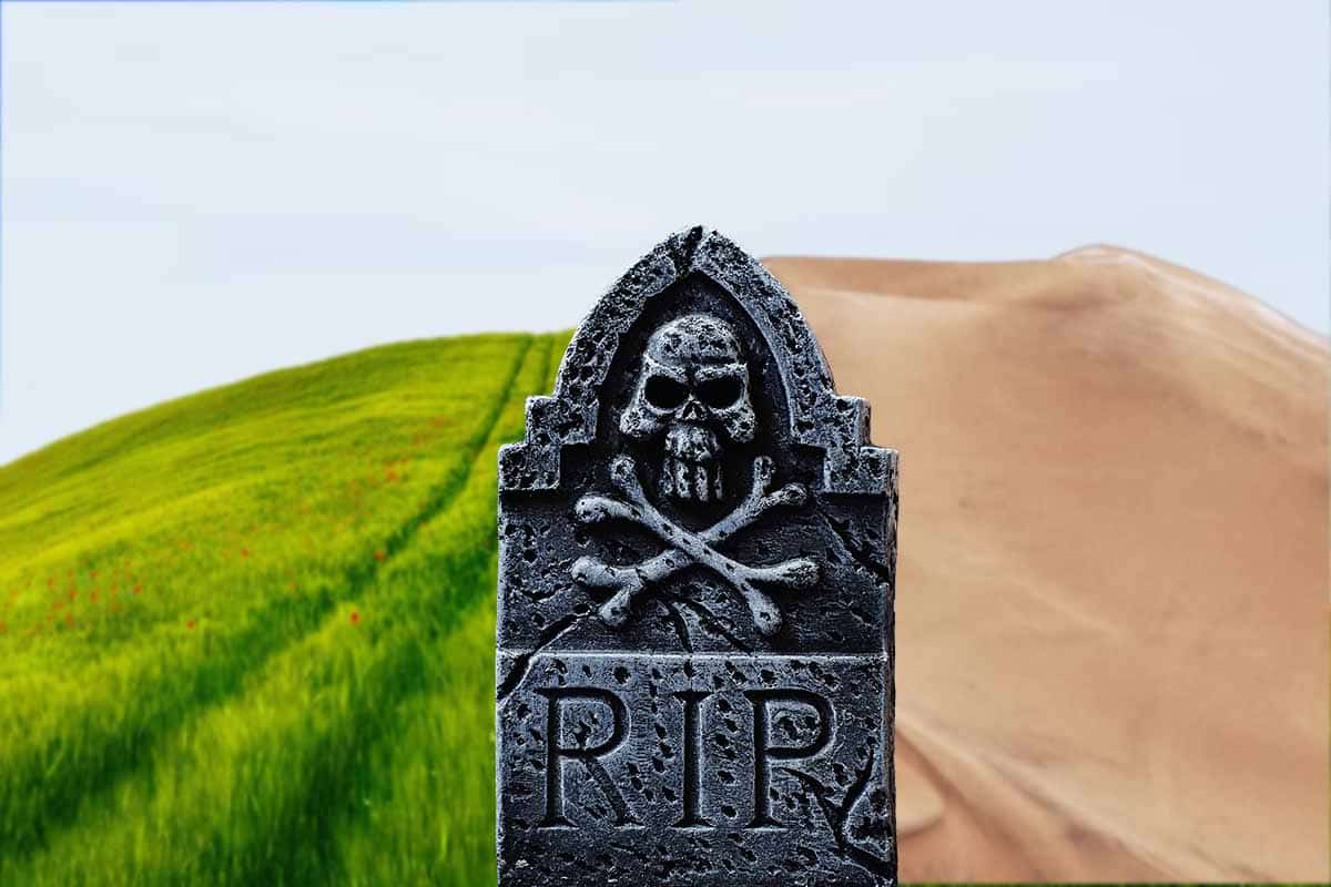 Vymretie jedného organizmu pochovalo Zem na milióny rokov