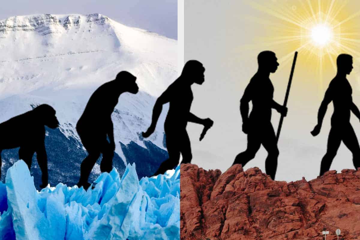 Dokážu vyššie teploty urýchliť evolúciu života na Zemi?