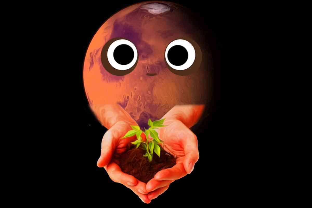 Dokážeme na marse vypestovať jedlo?