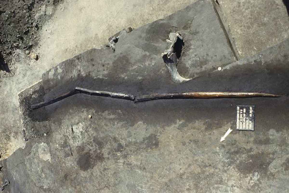 Neandertálci dokázali svoju korisť loviť aj na diaľku