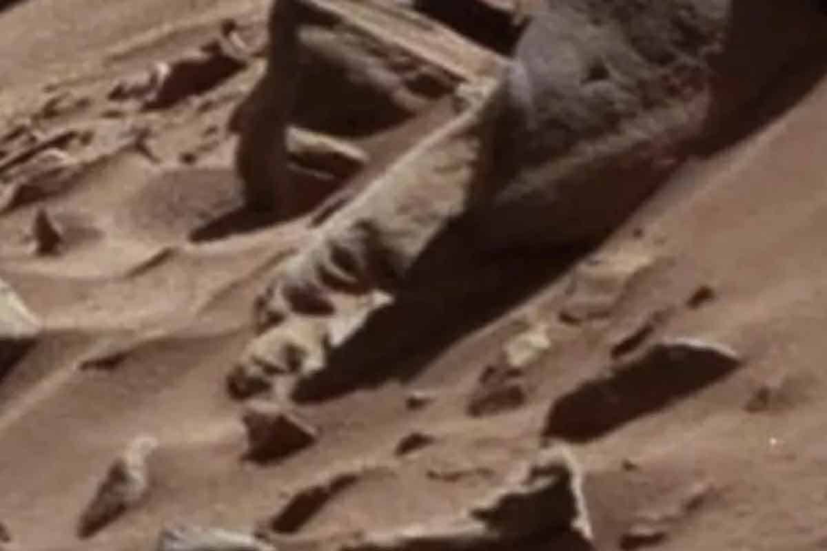 UFO konšpirátor si všimol na Marse zvláštnu tvár
