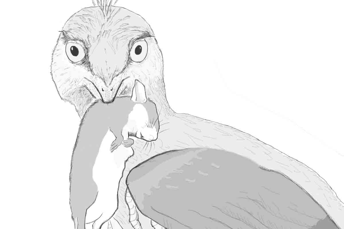 microraptor nebol vyberavým predátorom