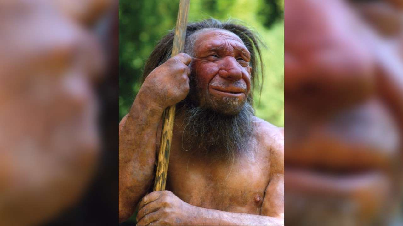 neandertalci