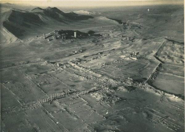 palmyra nalezisko mesto