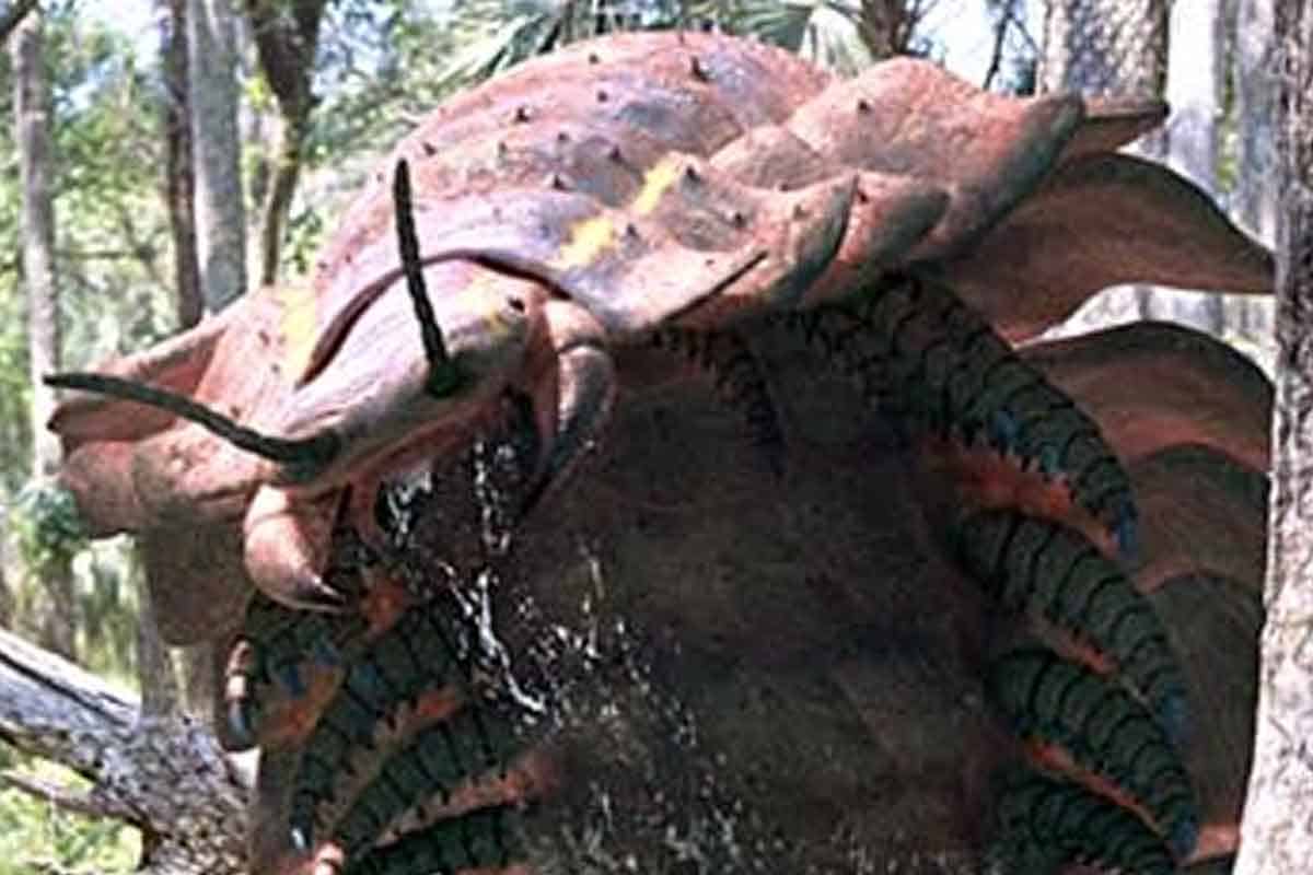 Najväčšia stonožka zeme mala veľkosť osobného auta