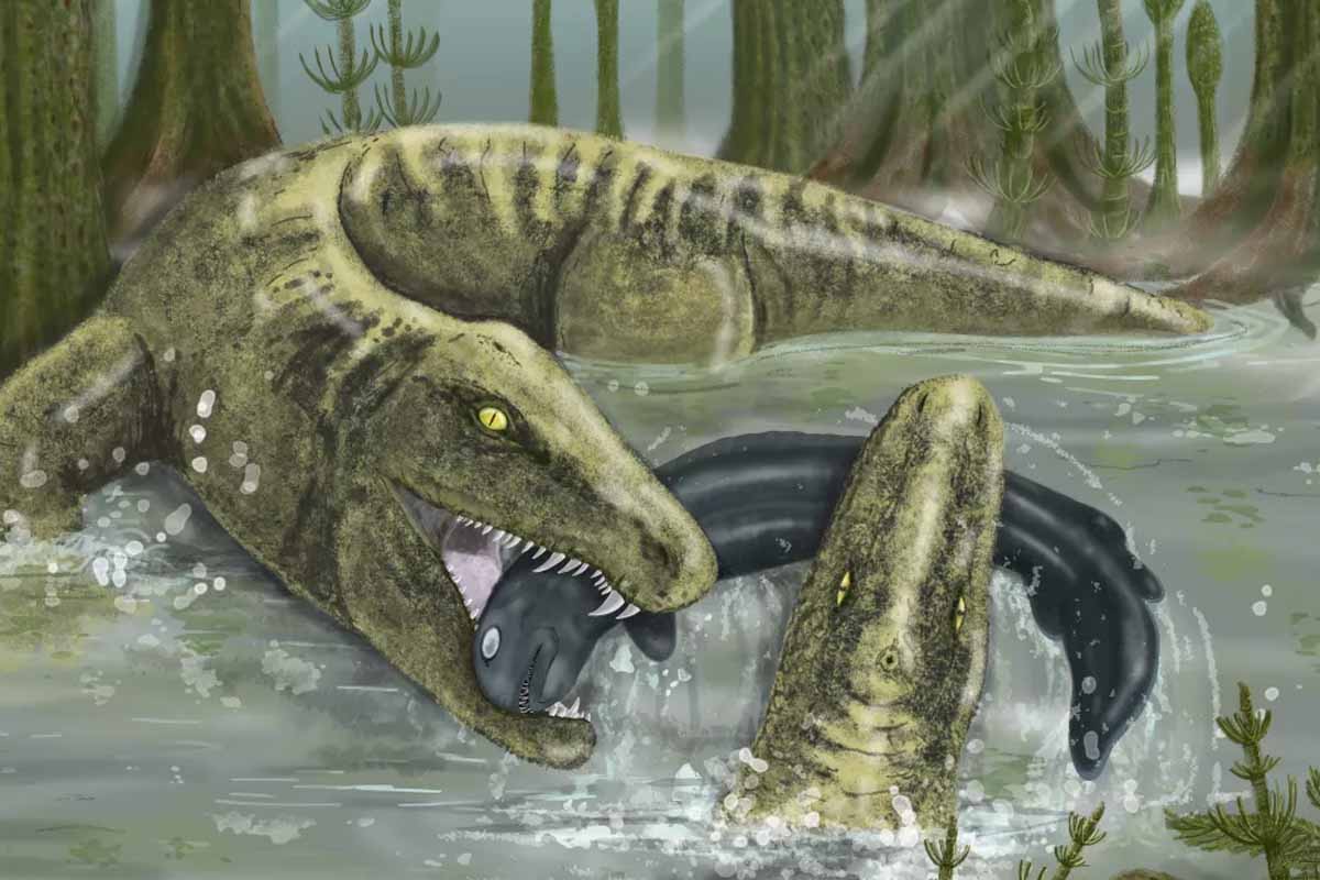 Predátor Whatcheeria bol T. rexom svojej doby