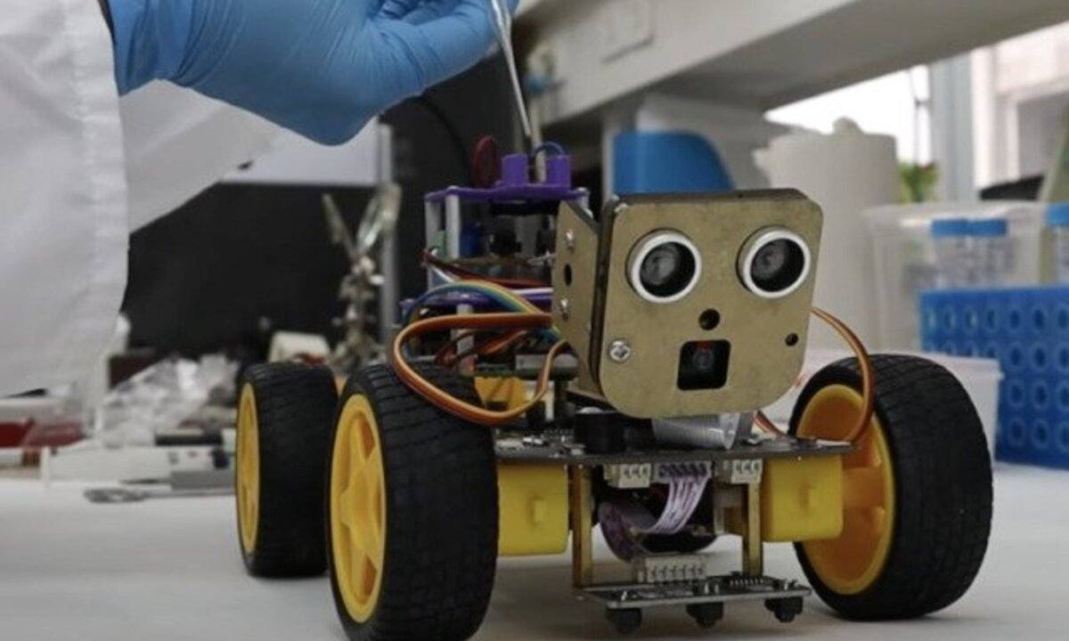Robot čo dokaže citiť