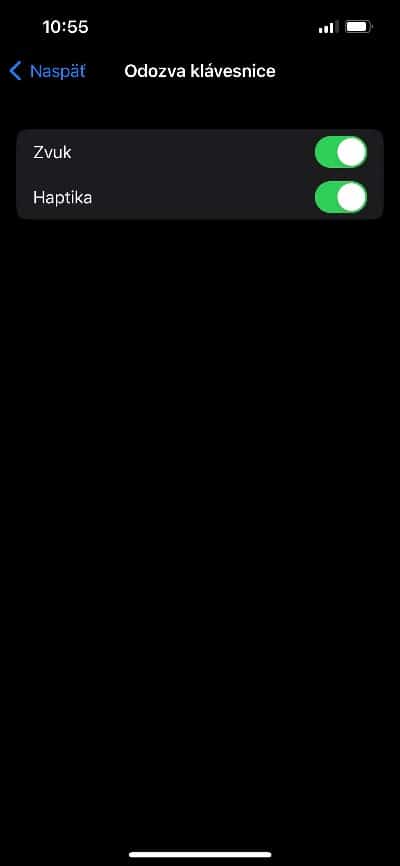 ako nastavit hapticku klavesnicu iOS 16 _4