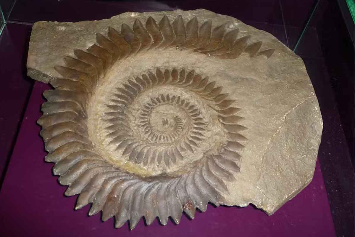 Na týchto piatich veciach môžeme sledovať evolúciu nielen nášho druhu