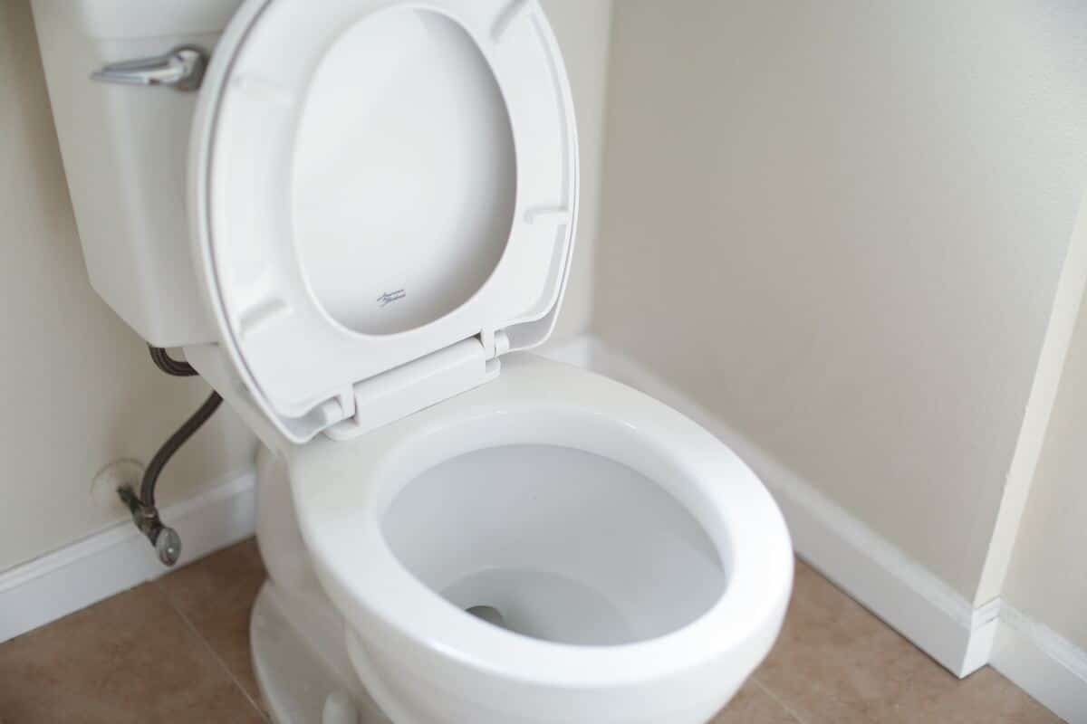 toaleta WC