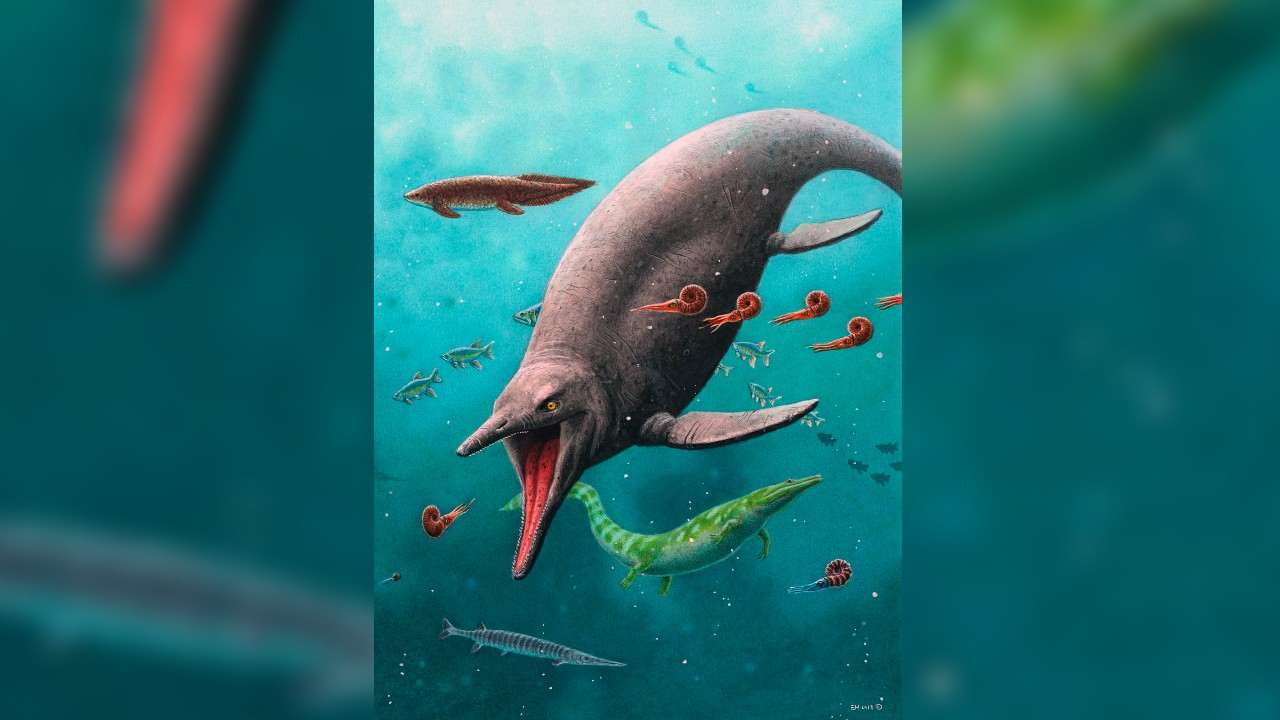 Rekonstrukcia najskorsieho ichtyosaura_titulka