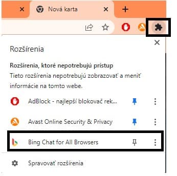 Znak puzzle a Google Bing